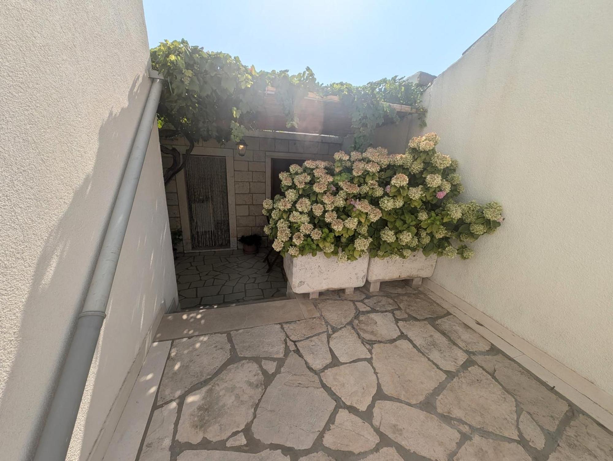Apartments Ante Lumbarda Exterior photo
